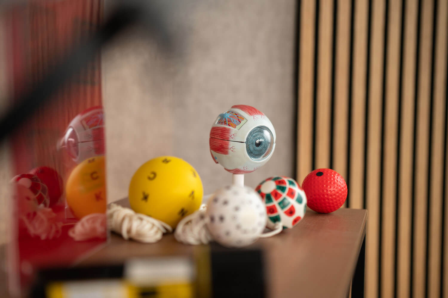 Augenmodell steht auf einem Regal, daneben ein paar ein paar andere Bälle