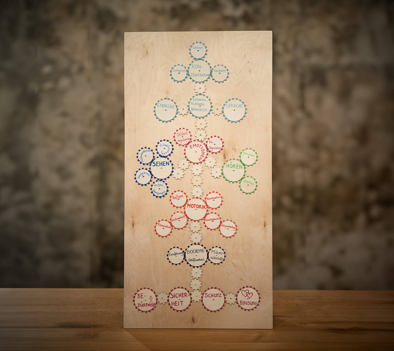 Kursaufbau durch ineinandergreifende Zahnräder mit echten Holzelementen visualisiert: – Konzentration: Schreiben, lesen, rechnen. – Denken, planen handeln. – Empathie. – Sprache. – Emotionen: Selbstregulation, Ko-Regulation. – Sehen: Visualisierung, Akkomodation, Vergenzen, Augen-Bewegungen. – Hören: zentral, peripher. – Motorik: Reflexe, Koordination, Grobmotorik, Feinmotorik, Gleichgewicht, Körperheilung. – Biochemie/Stoffwechsel: Ernährung, Mikronährstoffe. – Bedürfnisse/Sicherheit/Schutz/Bindung.